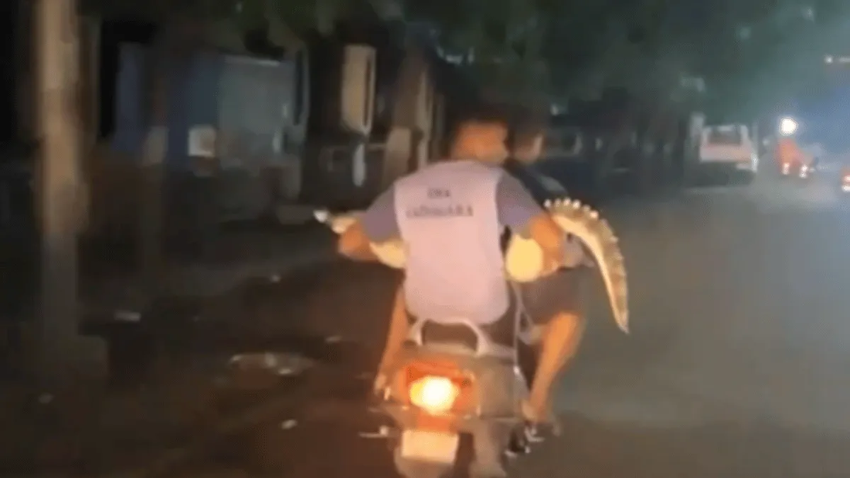 bikers-carry-crocodile-in-3-idiots-style-to-forest-department-in-gujarat-internet-impressed-viral-video